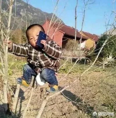 家是什么？能给个答案吗？