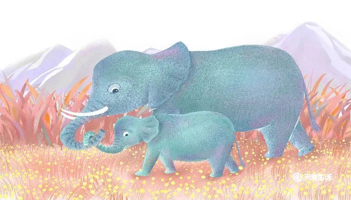 最后一头战象主要内容