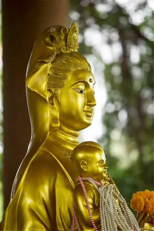 农历九月十九是什么日子