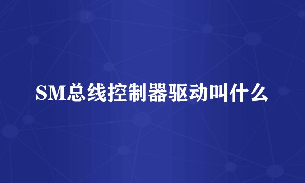 SM总线控制器驱动叫什么
