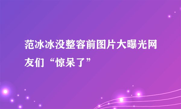 范冰冰没整容前图片大曝光网友们“惊呆了”