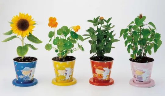 花盆的价格是怎样的？