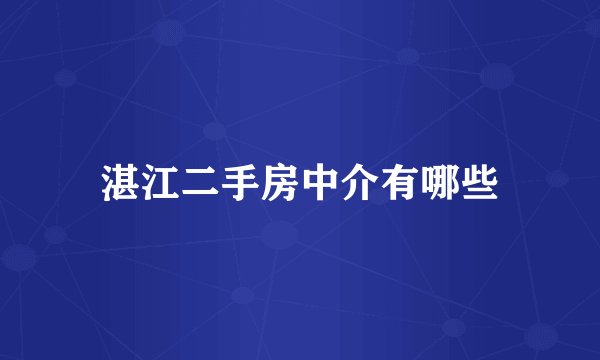 湛江二手房中介有哪些