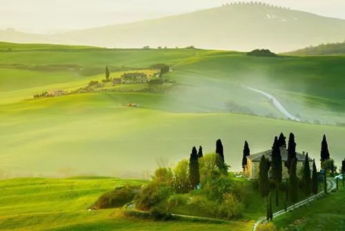 树叶贴画作品图片大全