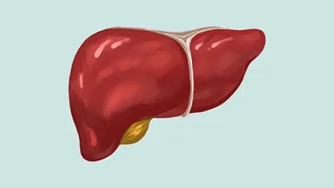 最好的抗肝癌药有哪些