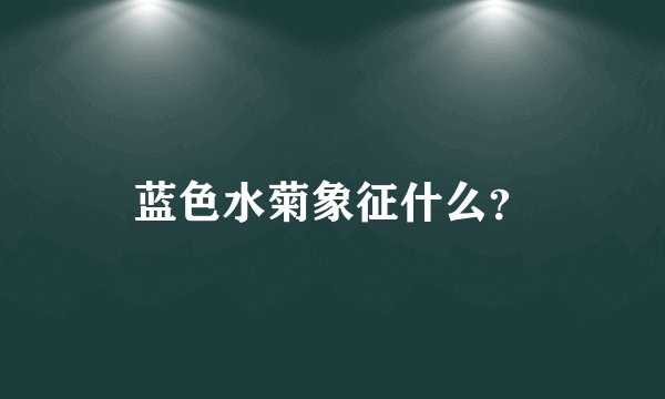 蓝色水菊象征什么？