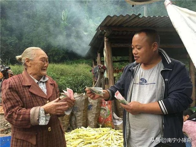 你对央视《致富经》栏目怎么看？