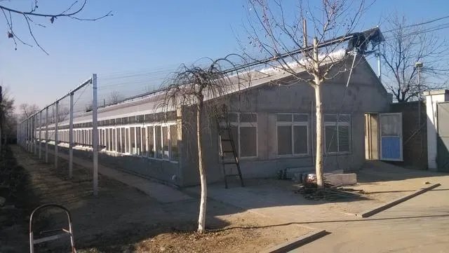 蔬菜大棚和蔬菜温室的区别是什么？