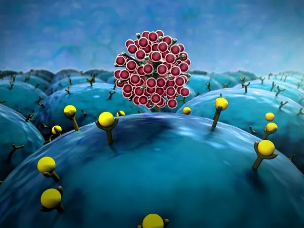 世卫组织为何将新型变异毒株命名为“奥密克戎”？