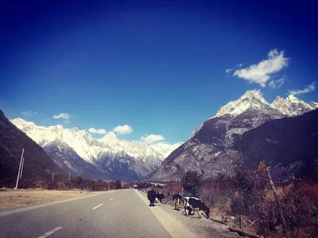 自驾川藏线选择什么越野车合适？