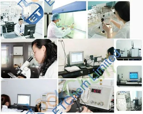 Lookchem 产品排名提升方法