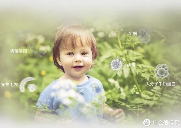 惠氏启赋奶粉怎么样