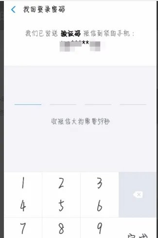 支付宝支付密码被锁定了怎么办