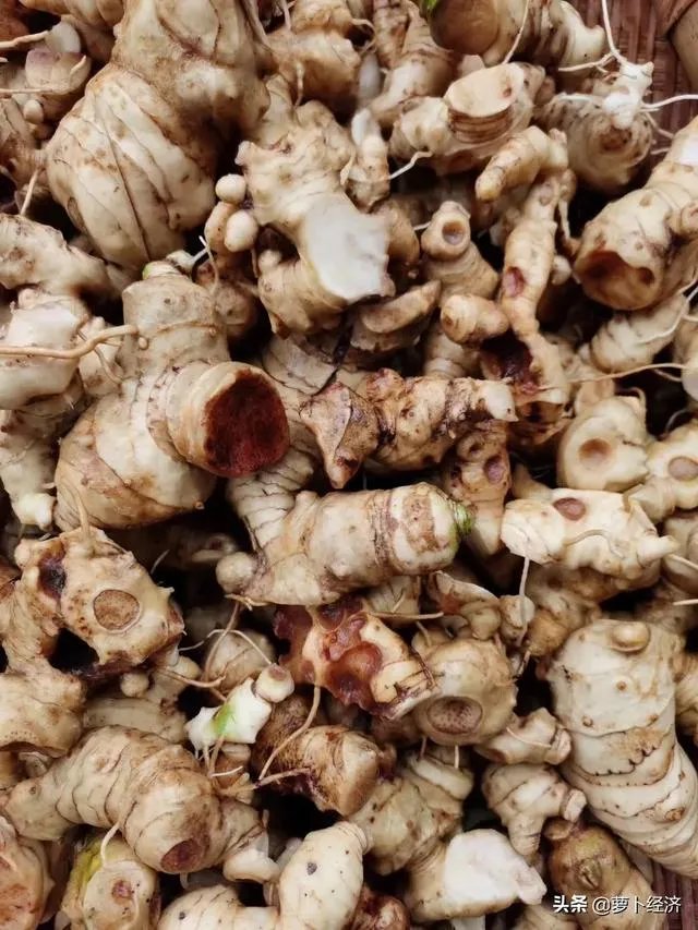 野生药材一定比种植药材好吗?