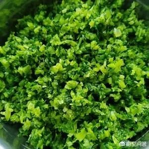 芹菜猪肉馅水饺的做法步骤图,怎么做好吃?