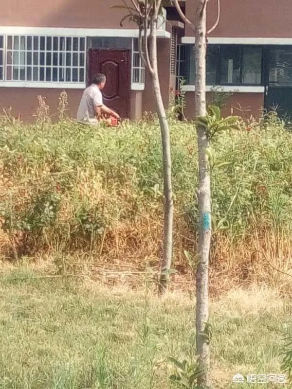 洛阳市有哪些知名小区