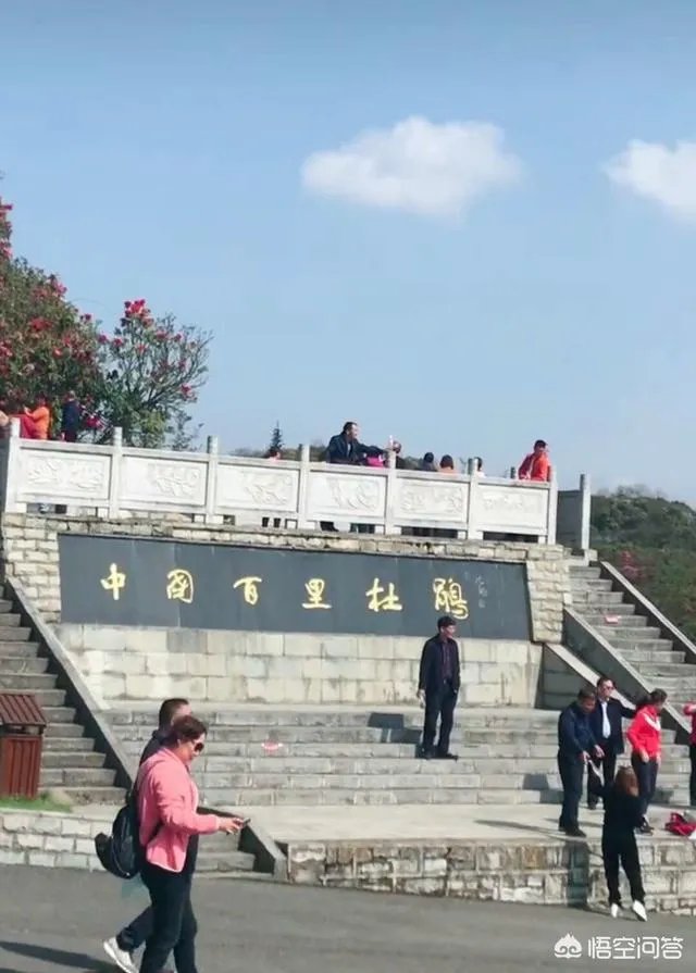 你知道中国百里杜鹃花都在哪里吗？