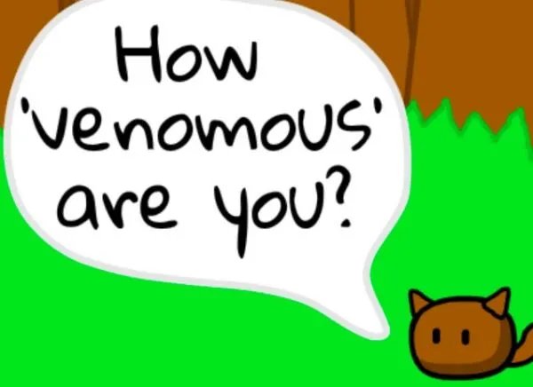 How do you study for a test?求回答。三个