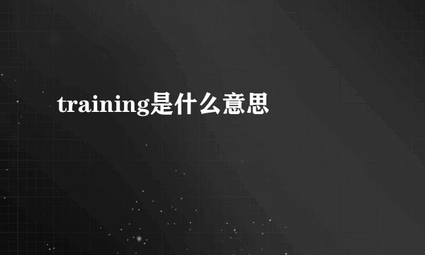 training是什么意思