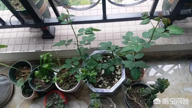 云南保山的房价是多少？