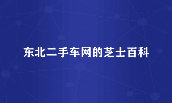 东北二手车网的芝士百科