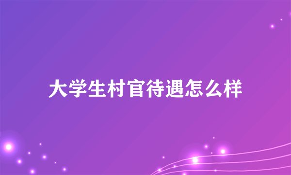 大学生村官待遇怎么样