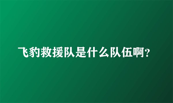 飞豹救援队是什么队伍啊？