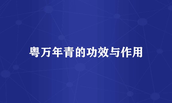 粤万年青的功效与作用