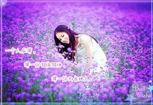 树叶贴画作品图片大全