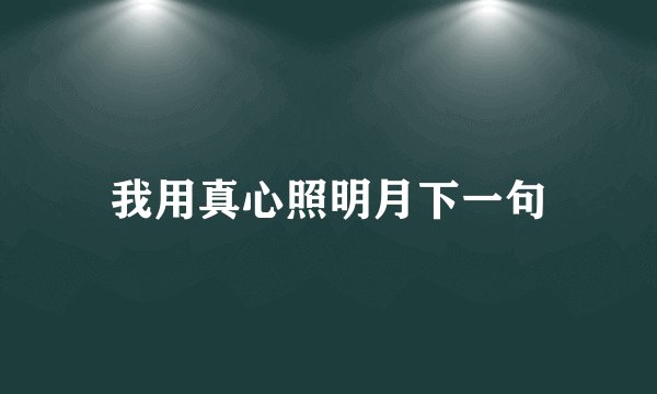 我用真心照明月下一句