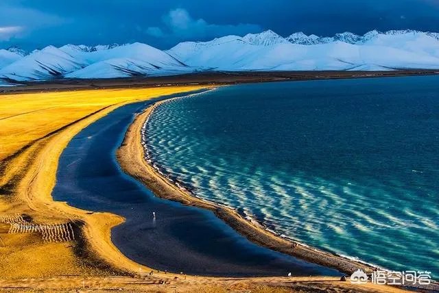 无反,微单,单反有什么区别,如果购买应该买哪种呢?