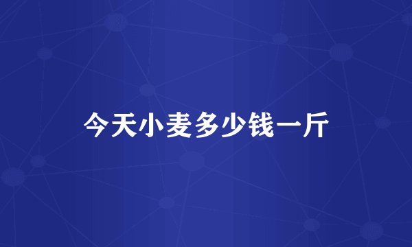 今天小麦多少钱一斤