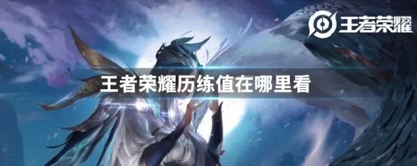 王者荣耀历练值在哪里看