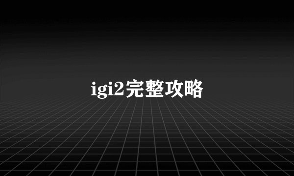 igi2完整攻略