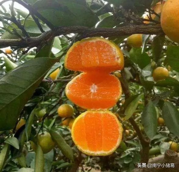 你对央视《致富经》栏目怎么看？