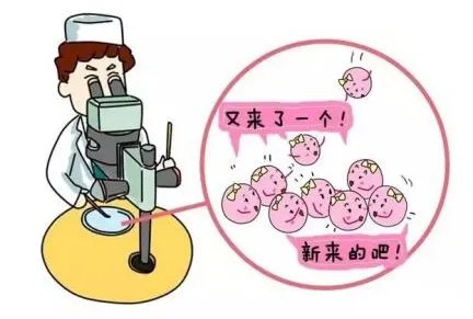 上海长征医院供卵三代试管需要住院吗?