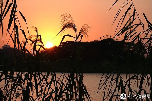 索尼黑卡6(RX100M6)深度入手评测:到底值不值?