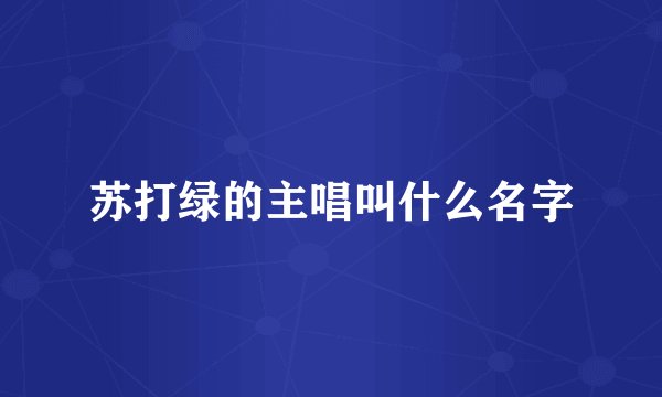 苏打绿的主唱叫什么名字