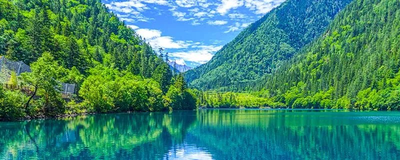 什么是物候现象 物候现象是什么意思