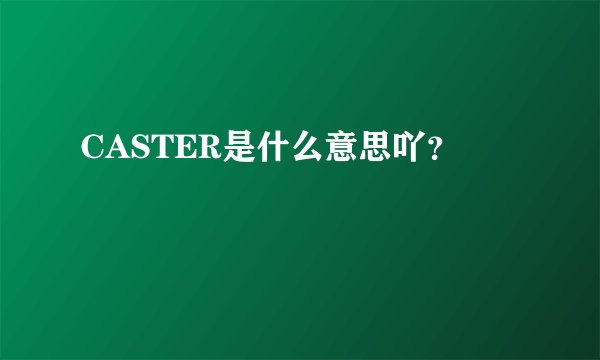 CASTER是什么意思吖？