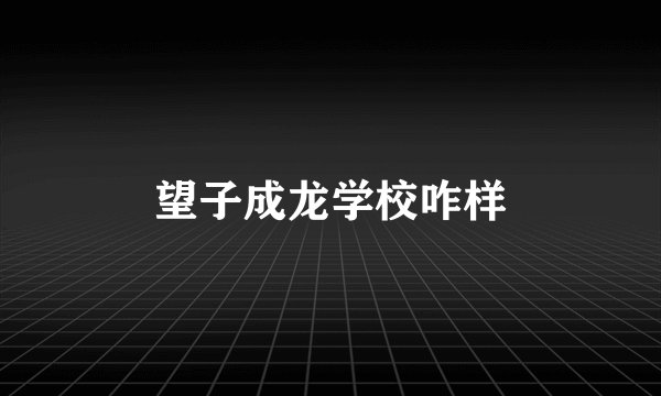 望子成龙学校咋样