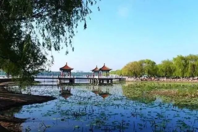 长春公交，轻轨，地铁最全乘车路线？