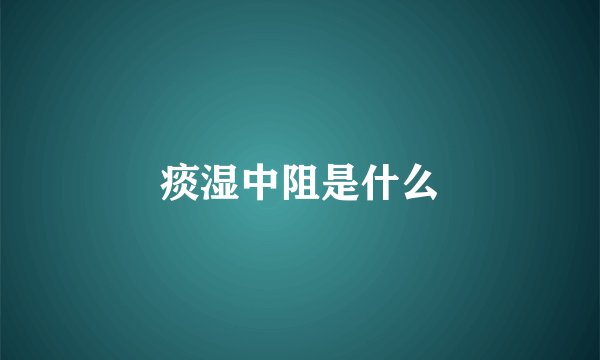 痰湿中阻是什么