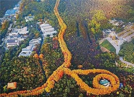 巴里坤县城镇明氏烧饼店