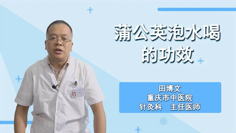 蒲公英泡水喝的功效