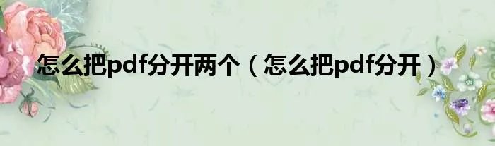 怎么把pdf分开两个（怎么把pdf分开）