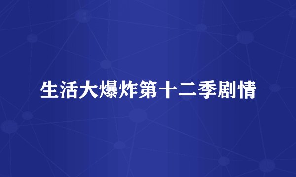 生活大爆炸第十二季剧情