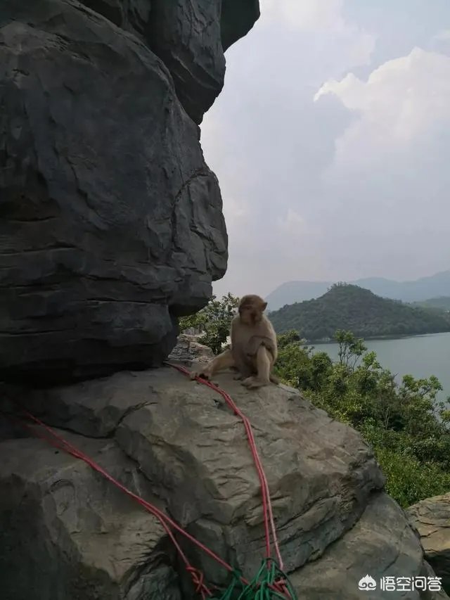 首付50万，想在南昌买房是买二手房好还是新房好？