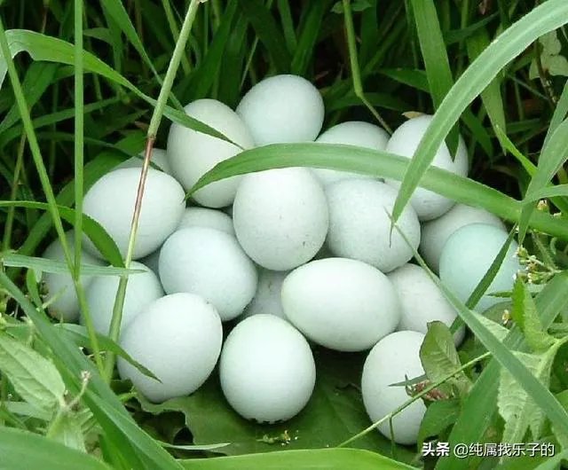 你对央视《致富经》栏目怎么看？