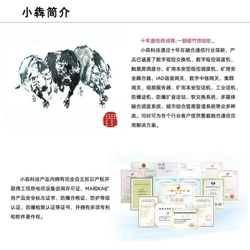 调度机景区用IP数字多媒体调度机系统